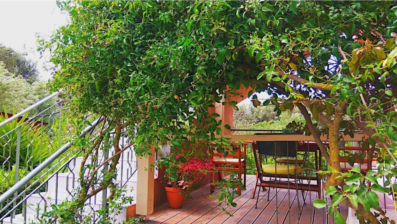 Kefalonia Apartments - Marias Studios - 2 Bedroom Apartment In Orchard, Spartia Екстериор снимка